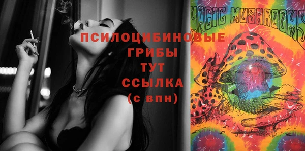 дурь Аркадак