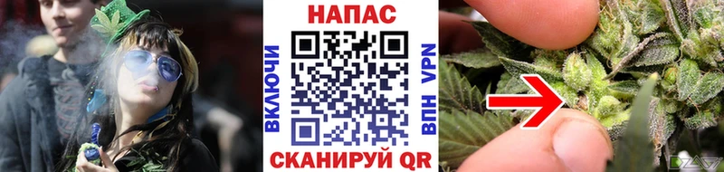 Марихуана план  Лукоянов 